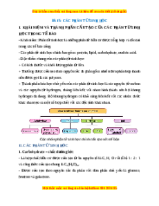 Lý thuyết Sinh học 10 Kết nối tri thức Bài 5: Các phân tử sinh học