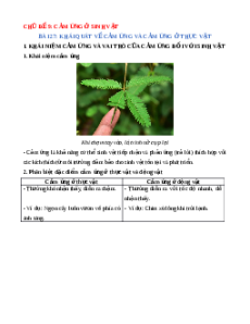 Lý thuyết Khái quát về cảm ứng và cảm ứng ở thực vật KHTN 7 Cánh diều