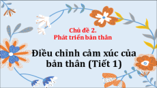 Bài giảng Powerpoint Chủ đề 2: Phát triển bản thân Hoạt động trải nghiệm 8 Cánh diều