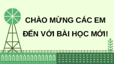 Giáo án Powerpoint Chuyên đề Bài 1: Nguyên tắc và các biện pháp kĩ thuật sử dụng dd khoáng trong nền nông nghiệp sạch Sinh học 11 Kết nối tri thức