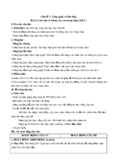 Giáo án Bài 5 Công nghệ lớp 4 Cánh diều: Gieo hạt và trồng cây con trong chậu