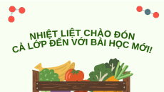 Giáo án Powerpoint Chuyên đề Bài 3: Phân bón hữu cơ Hóa học 11 Kết nối tri thức