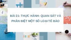Giáo án Powerpoint Bài 21: Thực hành KHTN 6 Kết nối tri thức
