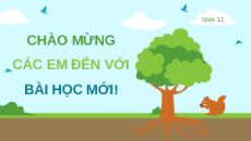 Giáo án Powerpoint Bài 31: Sinh quyển, khu sinh học và chu trình sinh - địa - hóa Sinh học 12 Kết nối tri thức