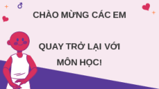 Giáo án Powerpoint Bài 25: Chăm sóc sức khỏe tuổi dậy thì Khoa học lớp 5 Kết nối tri thức