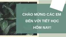 Giáo án Powerpoint Các nhân tố ảnh hưởng đến sinh trưởng và phát triển ở thực vật Sinh học 11 Cánh diều