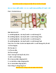 Trắc nghiệm Trao đổi nước và các chất dinh dưỡng ở thực vật KHTN 7 Chân trời sáng tạo