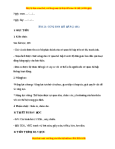 Giáo án Cơ quan hô hấp TNXH lớp 2 Chân trời sáng tạo