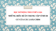 Giáo án Powerpoint Những điều bí ẩn trong tập tính di cư của các loài chim Ngữ văn 8 Chân trời sáng tạo