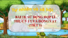 Giáo án Powerpoint Bài 18 Tự nhiên xã hội lớp 3 Chân trời sáng tạo: Sử dụng hợp lý thực vật và động vật