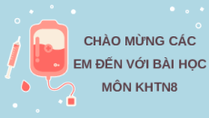 Giáo án Powerpoint Máu và hệ tuần hoàn ở người Sinh học - KHTN 8 Cánh diều