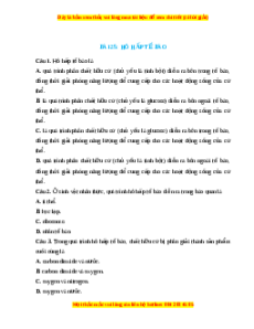 Trắc nghiệm Hô hấp tế bào KHTN 7 Chân trời sáng tạo