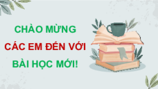 Giáo án Powerpoint Bài 20: Việt Nam từ năm 1991 đến nay