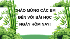 Giáo án Powerpoint Bài 4 Lịch sử & Địa lí lớp 4 Cánh diều: Dân cư, hoạt động sản xuất và một số nét văn hóa ở vùng Trung du và miền núi Bắc Bộ