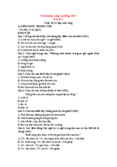 Bài tập Tiếng việt nâng cao lớp 5 Học kì 2