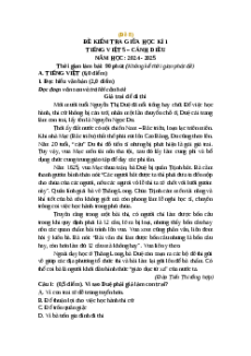 Đề thi giữa kì 1 Tiếng Việt lớp 5 Cánh diều (Đề 8)