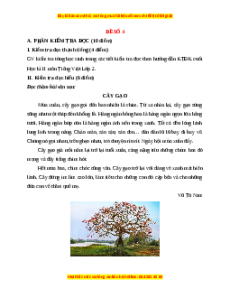 Đề thi cuối kì 2 Tiếng Việt lớp 2 Kết nối tri thức (Đề 4)