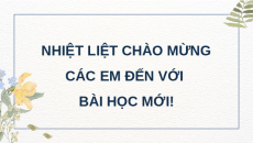 Giáo án Powerpoint Bài 21: Ôn tập chủ đề Vi khuẩn Khoa học lớp 5 Kết nối tri thức