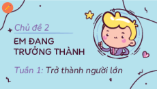 Bài giảng Powerpoint Chủ đề 2: Em đang trưởng thành