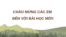 Giáo án Powerpoint Bài 10 Lịch sử & Địa lí lớp 4 Cánh diều: Văn Miếu - Quốc Tử Giám