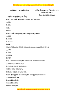 Đề thi giữa kì 2 Hóa 9 trường THCS Đỗ Cận năm 2023
