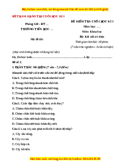 Đề thi cuối kì 1 Khoa học lớp 4 Kết nối tri thức - Đề 2