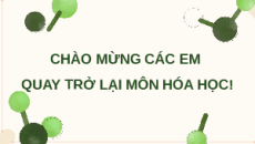 Giáo án Powerpoint Chuyên đề Bài 6: Điều chế glucosamine hydrochloride từ vỏ tôm Hóa học 11 Kết nối tri thức