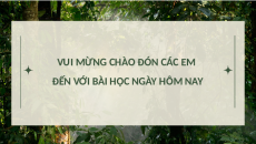 Giáo án Powerpoint Bài 17: Sinh học 10 Cánh diều: Vi sinh vật và các phương pháp nghiên cứu vi sinh vật