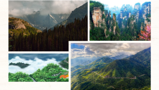 Giáo án Powerpoint Xa ngắm thác núi Lư Ngữ văn 8 Cánh diều