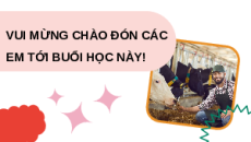 Giáo án Powerpoint Công nghệ chăn nuôi 11 Kết nối tri thức: Ôn tập chương 5