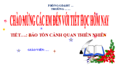 Trò chơi powerpoint Bảo vệ rừng xanh