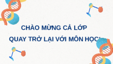 Giáo án Powerpoint Bài 23: Môi trường và các nhân tố sinh thái Sinh học 12 Kết nối tri thức