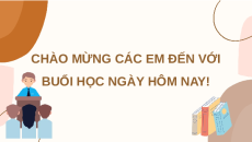 Giáo án Powerpoint Bài 29: Virus KHTN 6 Kết nối tri thức