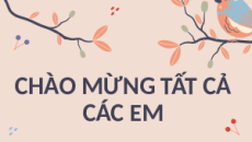 Giáo án Powerpoint Củng cố, mở rộng trang 48 Ngữ văn 11 Kết nối tri thức