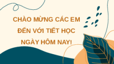 Giáo án Powerpoint Giảm phân Sinh học 10 Cánh diều