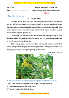 Bài tập cuối tuần Tiếng việt lớp 2 Tuần 26 Chân trời sáng tạo (có lời giải)