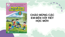 Giáo án Powerpoint Powerpoint Tuần 24 HĐTN lớp 4 Cánh diều