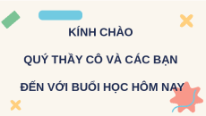 Giáo án Powerpoint Bài 21: Hội thảo hướng nghiệp Tin học 12 Kết nối tri thức