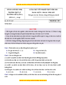 Đề thi thử tốt nghiệp Sinh học trường THPT Lý Thường Kiệt lần 1 năm 2024