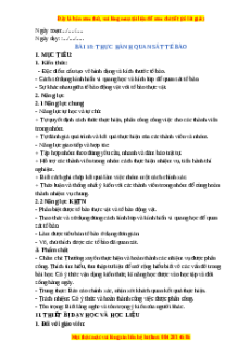 Giáo án Bài 18 KHTN 6 Chân trời sáng tạo (2024): Thực hành quan sát tế bào sinh vật