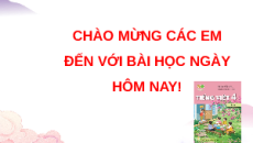 Giáo án Powerpoint Viết: Tìm hiểu cách viết đoạn văn nêu tình cảm, cảm xúc (trang 10, 11) Tiếng việt lớp 4 Kết nối tri thức (Phiên bản 2)