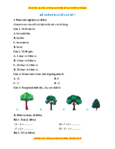 Đề thi giữa kì 2 Toán lớp 1 Cánh diều - Đề 7