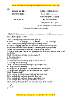 Đề thi cuối kì 2 Tin học 8 Kết nối tri thức (Đề 4)