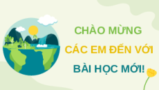 Giáo án Powerpoint Bài 19: Sự phát sinh, phát triển sự sống trên Trái Đất Sinh học 12 Cánh diều