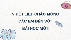 Giáo án Powerpoint Bài 21 Khoa học lớp 5 Chân trời sáng tạo: Ôn tập chủ đề Vi khuẩn