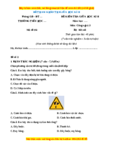 Đề thi giữa kì 2 Công nghệ lớp 3 Kết nối tri thức (Đề 3)