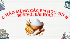 Giáo án Powerpoint Tinh bột và cellulose Hóa học 12 Kết nối tri thức