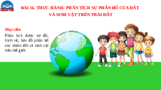 Giáo án Powerpoint Bài 16 Địa lí 10 Chân trời sáng tạo: Thực hành phân tích sự phân bố của đất và sinh vật trên Trái Đất