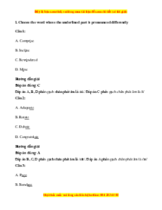 Trắc nghiệm Unit 11: What were you doing Tiếng Anh 7 Cánh diều