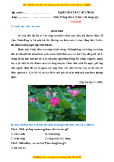 Bài tập cuối tuần Tiếng việt lớp 2 Tuần 35 Chân trời sáng tạo (có lời giải)